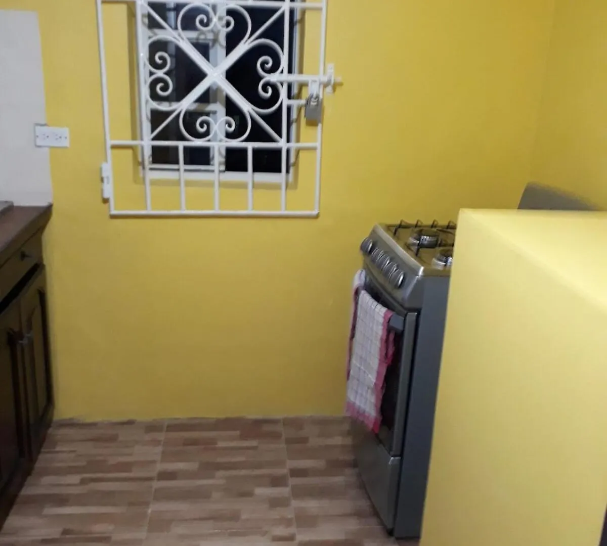 Palm Circle Family Home Apt 2 With Parking And Wifi Montego Bay