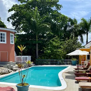  Bed and breakfast The Blue Orchid